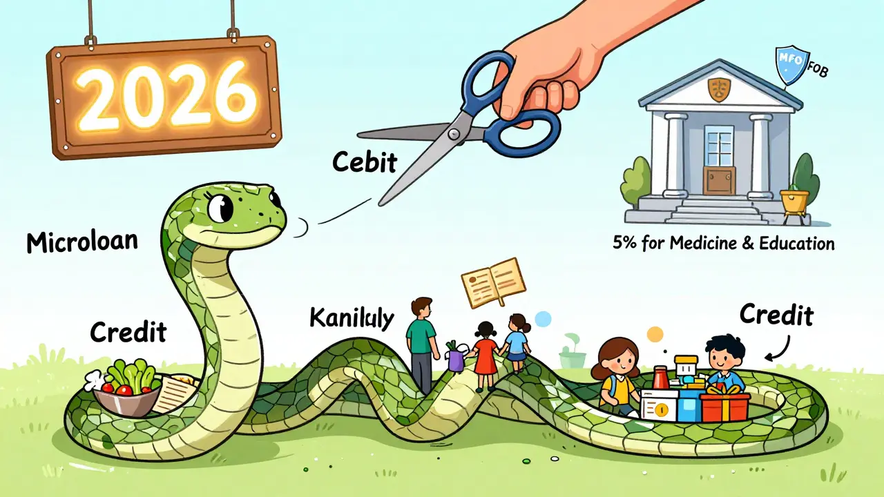 Змея из долгов, запутавшая семейный бюджет, перерастает в безопасный кредит под 5% при поддержке государства в 2026 году.