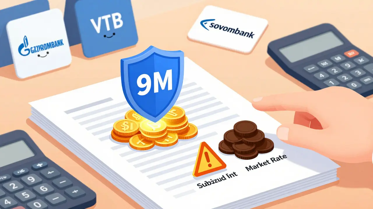 Визуализация лимитов и ставок IT-ипотеки с логотипами банков